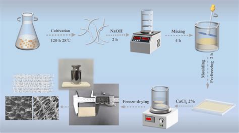 The Synthetic Process Of Layered Structure Functionalized Sponge M Sa