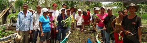 Organizaci N De Las Naciones Unidas Para La Alimentaci N Y La