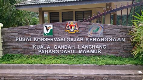 Mohd Faiz Bin Abdul Manan Pusat Konservasi Gajah Kebangsaan Kuala