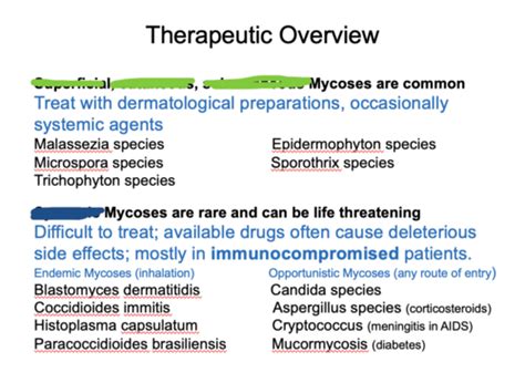 Antifungal And Antiparasitic Drugs Pharm Exam Flashcards Quizlet