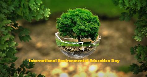 International Environmental Education Day 2024 Date Holiday