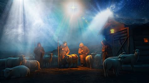 shephards  night fbcl