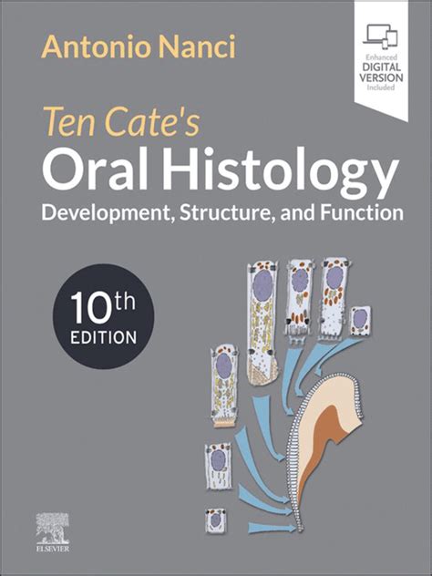 Ten Cate S Oral Histology Development Structure And Function 10th