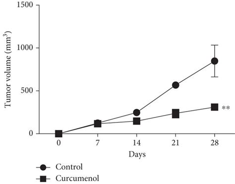 Subcutaneous Tumor Bearing Experiments In Nude Mice Prove That Curcumol