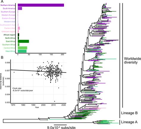 Maximum Likelihood Phylogenetic Analysis Of Empirical Hsv 2 Genomes A