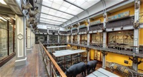 National Museum of Ireland - Natural History | Museums Dublin, Ireland ...