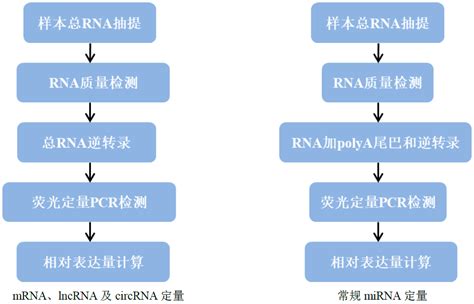 RNA表达水平定量 上海天昊生物 微生物绝对定量测序宏基因组测序甲基化检测单细胞转录组测序转录组测序外泌体检测