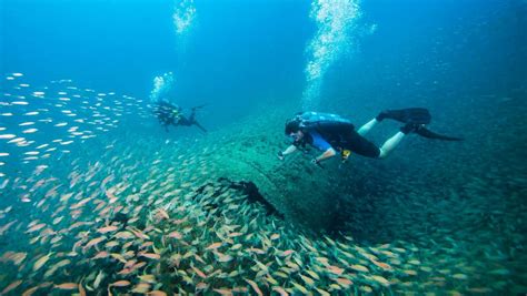 Scuba Diving The Graveyard Of The Atlantic And North Carolina Coast