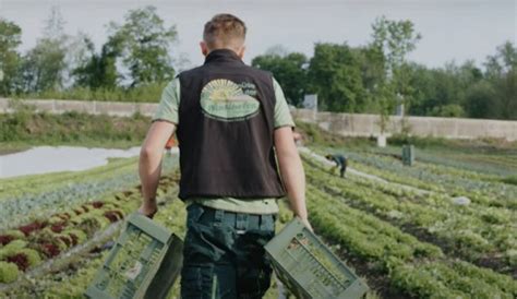 Frisches Obst und Gemüse bei INTERSPAR entdecken