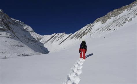 Hit The Best Snowshoe Trails In Vancouver This Winter For A Casual ...