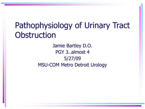 Ppt Pathophysiology Of Urinary Tract Obstruction Powerpoint Presentation Id 3361214