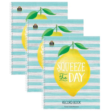 Teacher Created Resources Lemon Zest Record Book Pack Of 3 Walmart