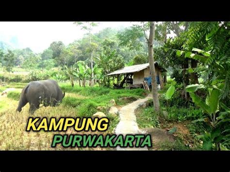 Kang Ahmad Pemburu Kampung Pwk Suasana Gunung Burangrang Kampung