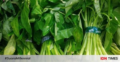 Kangkung Untuk Ibu Hamil Ini Manfaat Dan Potensi Risikonya