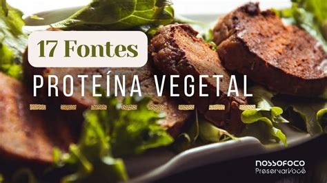 17 Melhores Fontes De Proteína Vegetal Nosso Foco