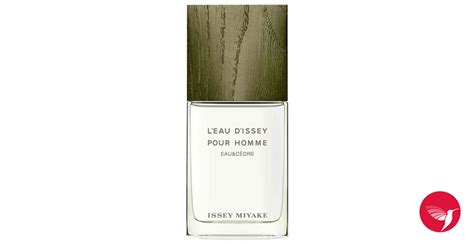 Leau Dissey Pour Homme Eau C Dre Issey Miyake Una Novit