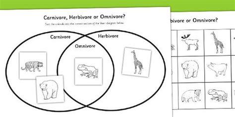 Omnivore Carnivore Or Herbivore Venn Diagram Sorting Worksheet