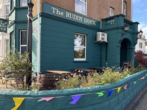 The Ruddy Duck | Bexhill