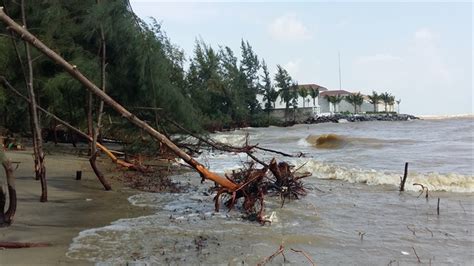 Rain, waves and rising seas erode Hội An beaches – CVD