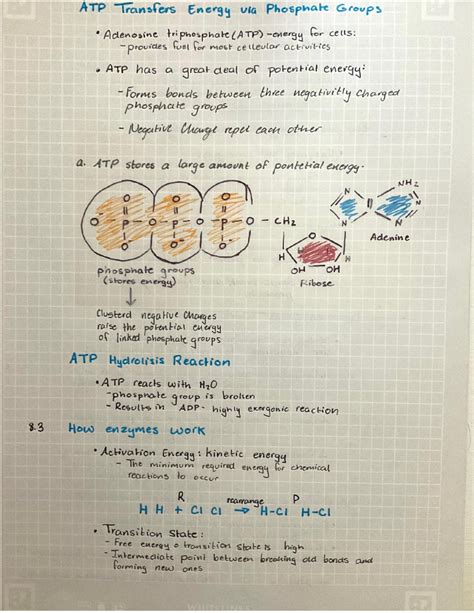 Chapter 8 biological science - Studocu