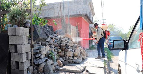 Hoy Tamaulipas Salud En Tamaulipas Piden A La Poblacion De Madero Colaborar En Combate Al Dengue