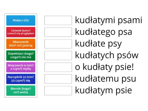 Odmiana Przez Przypadki Rzeczownika Z Przymiotnikiem Permainan Pencocokan