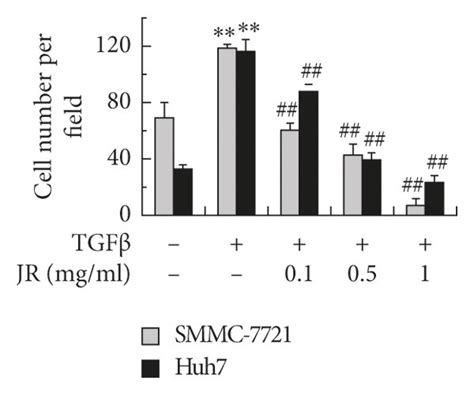 JR inhibits TGFβ1 induced migration and invasion of HCC cells The