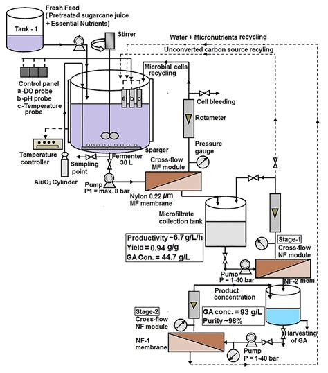 Gluconic Acid: Properties, Reaction, Production And Uses