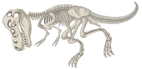 Fósiles De Dinosaurios Para Niños Descubriendo El Pasado Con Diversión