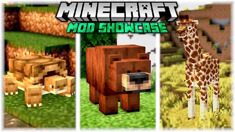 Naturalist 1 20 1 Minecraft Mod Showcase Youtube