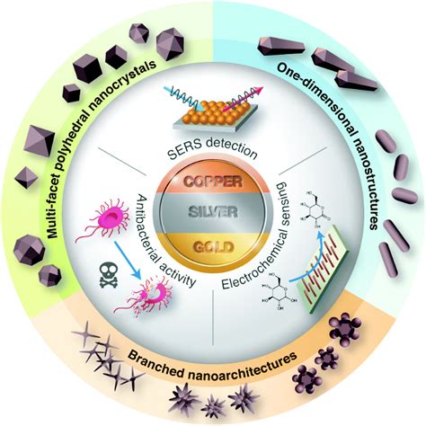 Recent Advancements In Coinage Metal Nanostructures And Bio