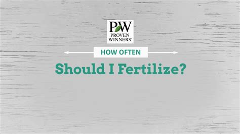 How Often Should I Fertilize My Garden Plants Youtube