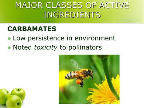 Ppt Insecticides Powerpoint Presentation Free Download Id5742155