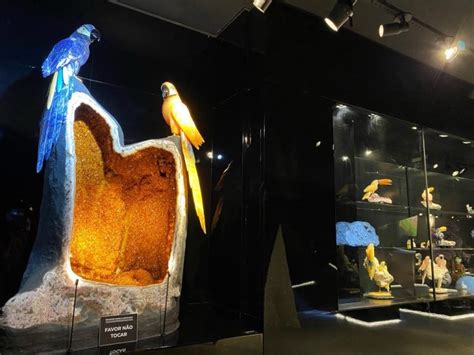 Geo Museu O Museu Das Belezas Minerais E Fósseis