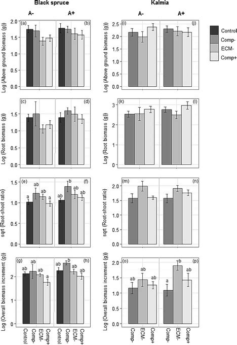 Mean ±1 Se Of Above And Belowground Biomass Root Shoot Ratio And Download Scientific