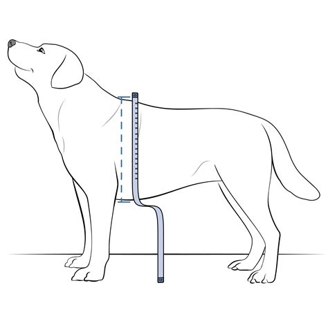 How To Measure and Select the Proper Rise on My PetSafe® Panel Pet Door