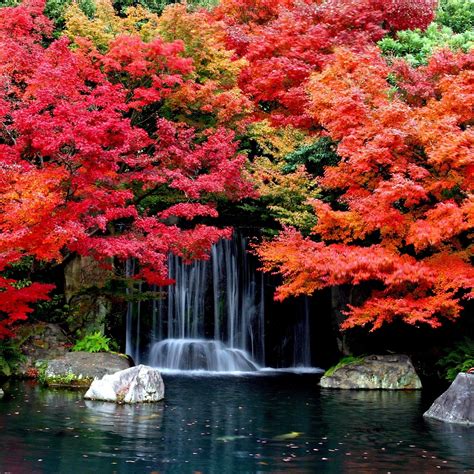 Fall Leaves Waterfall Wallpapers - 4k, HD Fall Leaves Waterfall ...