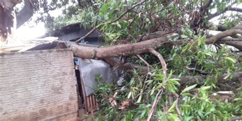 Temporal Com Granizo Destelha Casas Derruba árvores E Poste De Energia