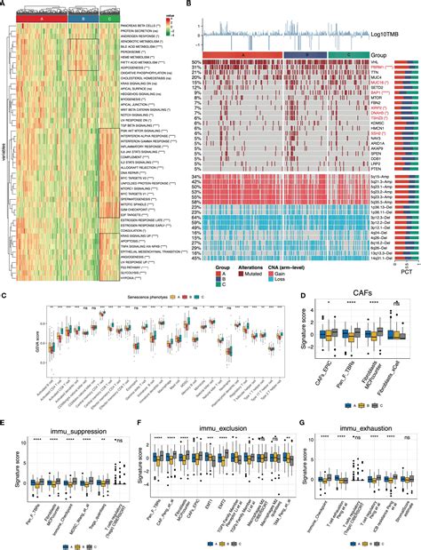 Frontiers Comprehensive Analysis Of Senescence Characteristics