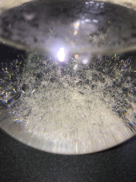 Salicylic Acid Crystals