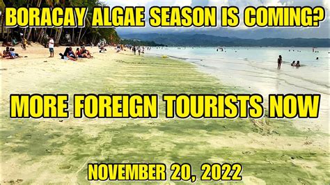 Boracay Algae Season Is Coming More Foreign Tourists Robinsons