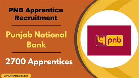 PNB Apprentice Recruitment 2024 Apply Online 2700 Vacancies