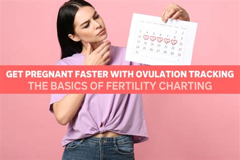 Get Pregnant Faster With Ovulation Tracking The Basics Of Fertility Charting