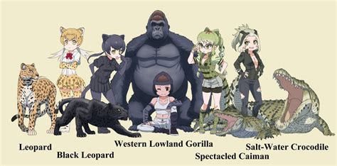 Gorilla Vs Crocodile