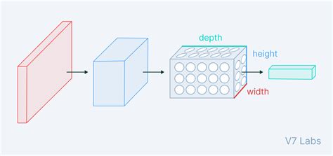 Convolutional Neural Networks Architectures Types Examples