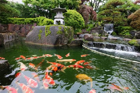 小千谷錦鯉の里｜東北の観光スポットを探す 旅東北 東北の観光・旅行情報サイト