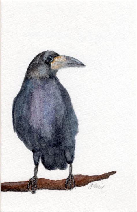 Rook Bird Crow Corvid Raven Watercolour Fantasy Magical Watercolor