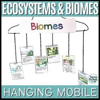 Mountain Biome Teaching Resources | TPT