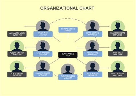 Org Chart Template Word 12 -TemplateLab.com | PDF