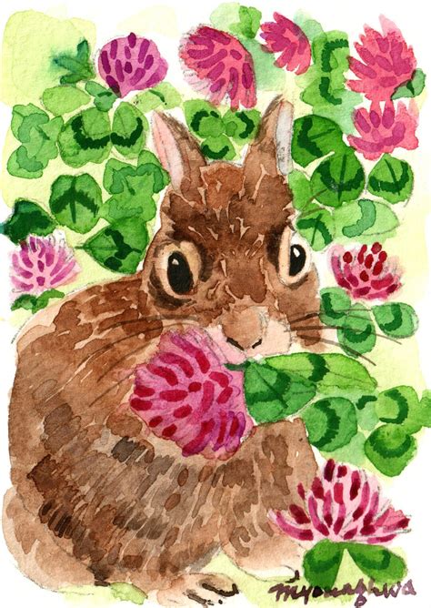 Aceo Limited Edition 325 Rabbit Eating Red Clover Art Print Etsy